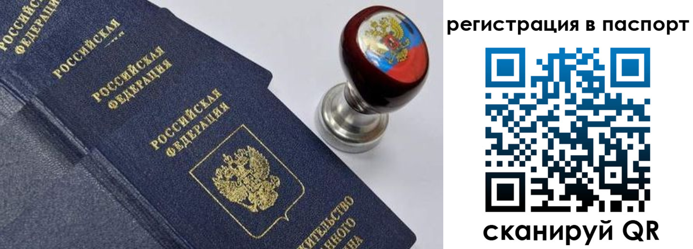 прописка поиск в Солнечногорске